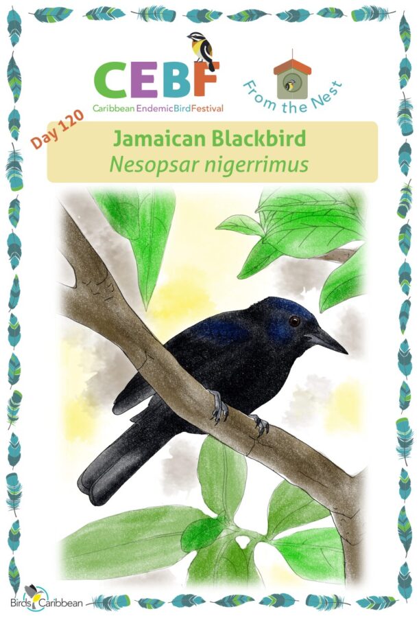 From the Nest – Day 120